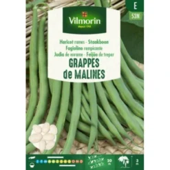 Staakboon Grappes De Malines