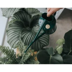 Haws Kamerplantengieter The Fazeley Flow 1 L - Groen -Cramer Verkoop 1686734925 3 600