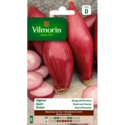 Ajuin Rode Van Firenze