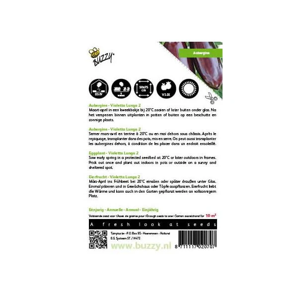 Aubergine Lange Violette - Solanum Melongena 2 Aubergine Lange Violette - Solanum Melongena - Afbeelding 2