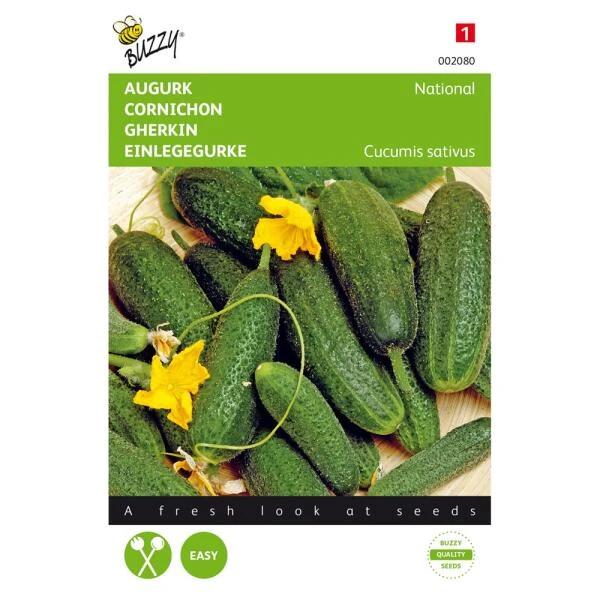 Augurken Kleine Groene Scherpe - Cucumis Sativus 1 Augurken Kleine Groene Scherpe - Cucumis Sativus