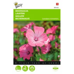 Bekermalva - Lavatera Trimestris