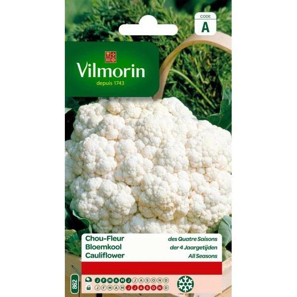 Bloemkool Wonder 4 Jaargetijden 1 Bloemkool Wonder 4 Jaargetijden