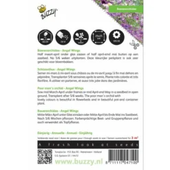 Boerenorchidee Angel Wings - Schizanthus Sinuata Wisetonensis -Cramer Verkoop boerenorchidee angel wings schizanthus sinuata wisetonensis 1646840330 432 600