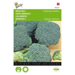 Broccoli Groene Calabria - Brassica Oleracea
