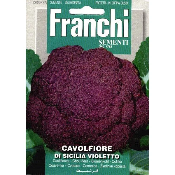 Cavolfiore Sicilia Violetto - Bloemkool Violet 1 Cavolfiore Sicilia Violetto - Bloemkool Violet