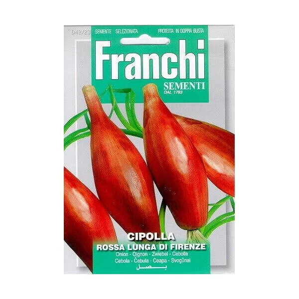 Cipolla Rossa Lunga Da Firenze - Uien Lang 1 Cipolla Rossa Lunga Da Firenze - Uien Lang