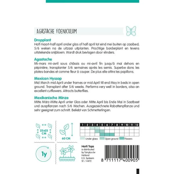 Dropplant - Agastache Mexicana 2 Dropplant - Agastache Mexicana - Afbeelding 2