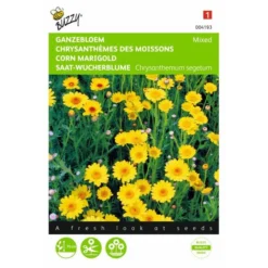 Gele Ganzebloem - Chrysanthemum Segetum