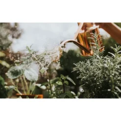 Haws Gieter 1 L - Koper -Cramer Verkoop gieter haws 1 l koper 1659089480 2 600