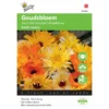 Goudsbloem Pacific Beauty - Calendula Officinalis