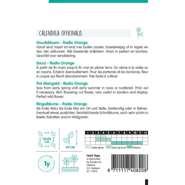 Goudsbloem Radio Orange - Calendula Officinalis 2 Goudsbloem Radio Orange - Calendula Officinalis - Afbeelding 2