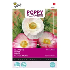 Klaproos Sherley - Papaver