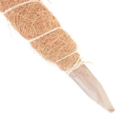 Kokos Kamerplantensteun - Plantstok Ø45 Mm × 1 M 7 Kokos Kamerplantensteun - Plantstok Ø45 Mm × 1 M -Cramer Verkoop kokos plantensteun 45 mm x 1 m 1622717806 4 600