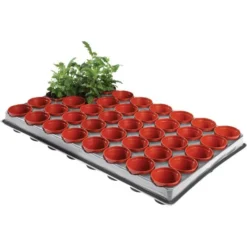 Tray Met 40 Kweekpotjes 6 Cm -Cramer Verkoop kweektray 40 potjes 6 cm 1599819541 1 600
