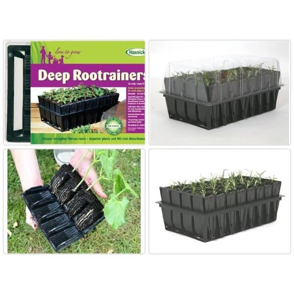 Kweektray Deep Roots - 32 Cellen 6 Kweektray Deep Roots - 32 Cellen - Afbeelding 6