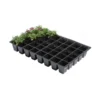 Kweektrays 40 Cellen - Professioneel - Set Van 5 Stuks