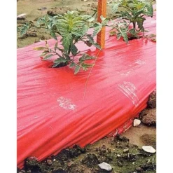 Rode Folie Voor Een Betere Plantengroei 7 Rode Folie Voor Een Betere Plantengroei -Cramer Verkoop mulchfolie 1577621345 1 600