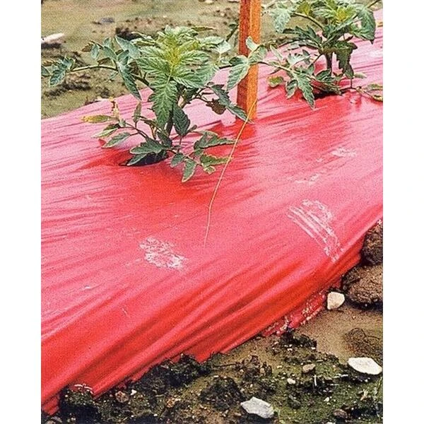 Rode Folie Voor Een Betere Plantengroei 3 Rode Folie Voor Een Betere Plantengroei - Afbeelding 3