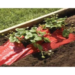 Rode Folie Voor Een Betere Plantengroei 8 Rode Folie Voor Een Betere Plantengroei -Cramer Verkoop mulchfolie rood aardbeien en tomaten 1492072043 1 600