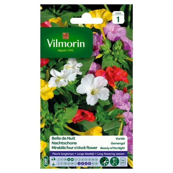 Nachtschone Gemengd 1 Nachtschone Gemengd