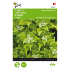 Nieuwzeelandse Spinazie - Tetragonia Expansa