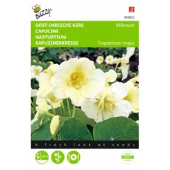 Oost Indische Kers Milkmaid