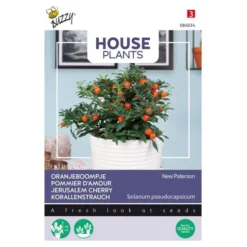 Oranjeboompje - Solanum Pseudocapsicum