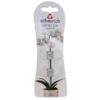 Orchideeenclips Transparant - Set Van 2 Stuks