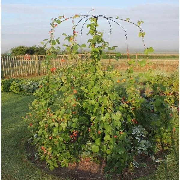 Parasol Steunframe 1 Parasol Steunframe