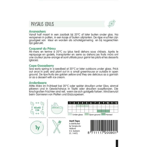 Physalis Peruviana - Ananaskers 2 Physalis Peruviana - Ananaskers - Afbeelding 2
