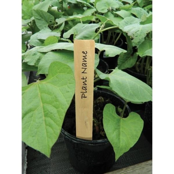 Plantenlabels Hout - 15 Cm - Set Van 10 Stuks 2 Plantenlabels Hout - 15 Cm - Set Van 10 Stuks - Afbeelding 2