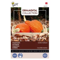 Pompoen Kalebas Golden Hubbard