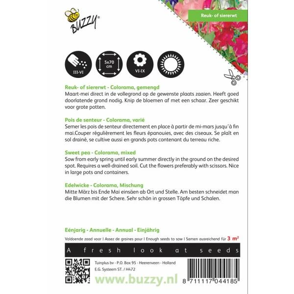 Reukerwt Colorama - Lathyrus Odoratus 2 Reukerwt Colorama - Lathyrus Odoratus - Afbeelding 2