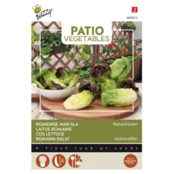 Romeinse Mini-sla Red And Green