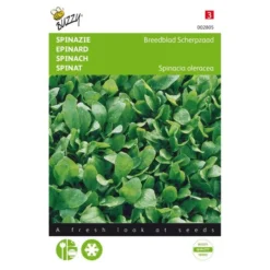 Spinazie Breedblad Scherpzaad