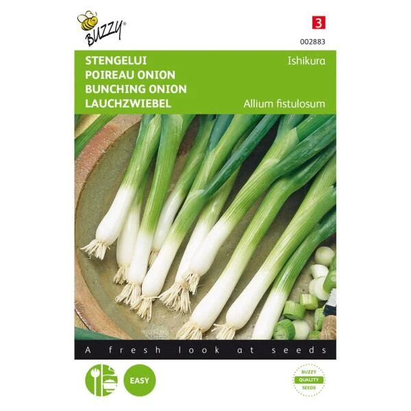 Stengelui Ishikura - Allium Fistulosum 1 Stengelui Ishikura - Allium Fistulosum