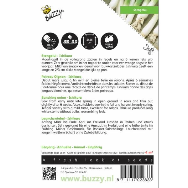 Stengelui Ishikura - Allium Fistulosum 2 Stengelui Ishikura - Allium Fistulosum - Afbeelding 2