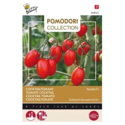 Tomaten Pomodori Ravello F1 Lycopersicon Esculentum