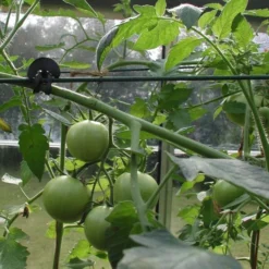 Tree-fix Boombinder 8 Cm - Set Van 50 Stuks -Cramer Verkoop treefix boombinder 8 cm 1547125995 3 600