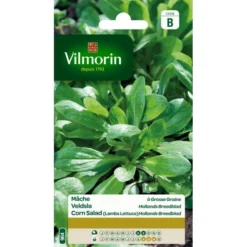 Veldsla Hollands Breedblad