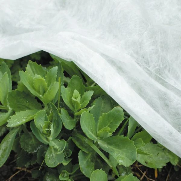 Vliesdoek - 5 × 1,6 Meter - 17 G/m² 1 Vliesdoek - 5 × 1,6 Meter - 17 G/m²