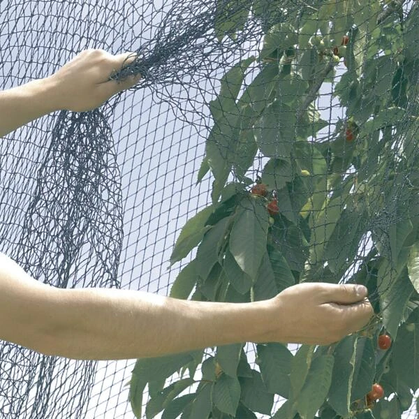 Vogelnet Beschermnet - Pronet 5 × 12 M 2 Vogelnet Beschermnet - Pronet 5 × 12 M - Afbeelding 2