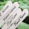 Waterbestendige Stift Zwart Voor Plantenlabels