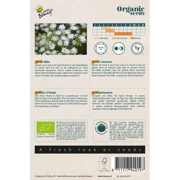 Witte Dille - Ammi Majus BIO 2 Witte Dille - Ammi Majus BIO - Afbeelding 2
