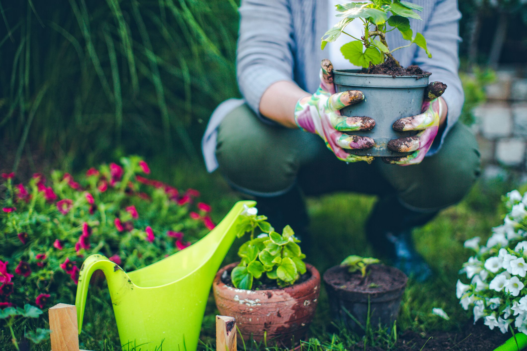 Voorkant -Cramer Verkoop How Gardening helps to improve your Mood