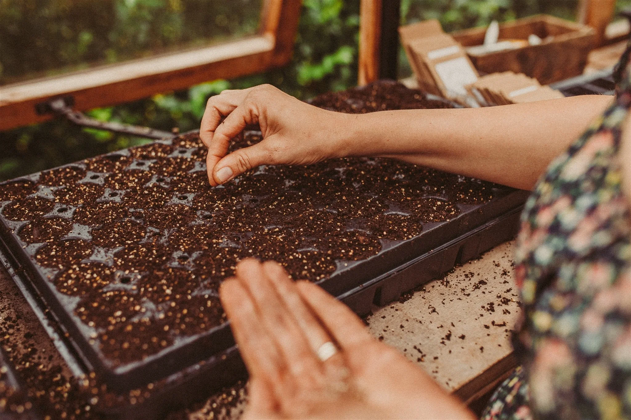 Voorkant -Cramer Verkoop zaaitrays 724780